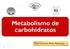 Metabolismo de carbohidratos. Dra. Carmen Aída Martínez