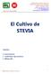 El Cultivo de STEVIA. Capítulos. 1. Antecedentes 2. Condiciones agronómicas 3. Bibliografía. Agricultura Razonada