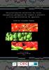 Caracterización molecular de virus emergentes patógenos de tomate y pimiento y virus persistentes de aguacate. Francisco Villanueva Montiel