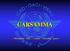 CARSAMMA. Caribbean and South American Monitoring Agency