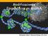 Modificaciones Epigenéticas en el DNA. Bibliografía: Watson Molecular Biology of the Gene