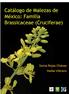 Catálogo de Malezas de México: Familia Brassicaceae (Cruciferae) Sonia Rojas Heike Vibrans