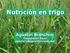 Nutrición en trigo. Agustín Bianchini Diagnóstico Rural