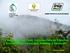 La Selva Alta del Perú, Introducción de Especies y Procedencias Forestales, Nativas y Exóticas