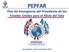 PEPFAR. Plan de Emergencia del Presidente de los Estados Unidos para el Alivio del Sida