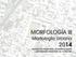 MORFOLOGÍA III Morfología Urbana 2014 Facultad de Arquitectura, Urbanismo y Diseño UNIVERSIDAD NACIONAL DE CÓRDOBA