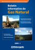 Gas Natural. Boletín Informativo de I. Desarrollo de la Industria y el Mercado de Gas Natural