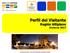 Perfil del Visitante Región Altiplano Invierno Secretaría de Turismo Dirección de Planeación, Información y Análisis