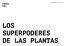 LOS SUPERPODERES DE LAS PLANTAS 1 LOS SUPERPODERES DE LAS PLANTAS