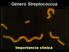 Género Streptococcus. Importancia clínica