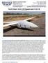 Technical Sheet: Grob 104 Speed Astir II & II B