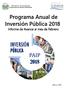 Programa Anual de Inversión Pública 2018