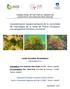 Caracterización espacio-temporal de la comunidad de macroalgas de la costa de Rocha (Uruguay): una perspectiva florística y funcional