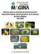 Informe sobre la campaña de monitorización y control de la plaga mosca del olivo en la comarca de Sierra Mágina Año 2018