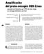 Amplificación del proto-oncogén HER-2/neu