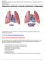 Hipertensión pulmonar: síntomas, tratamientos y diagnóstico