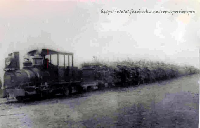 Los ferrocarriles azucareros A lo largo de la historia el transporte de la caña del cañaveral a los ingenios y trapiches donde se transformaba el jugo de estas en azúcar, chancaca, melazas o