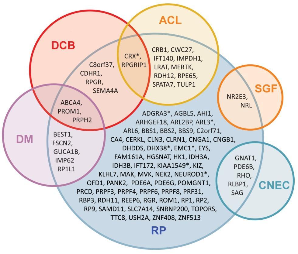 Introducción Figura I.7 Representación del solapamiento genético entre la RP y otras DHR.