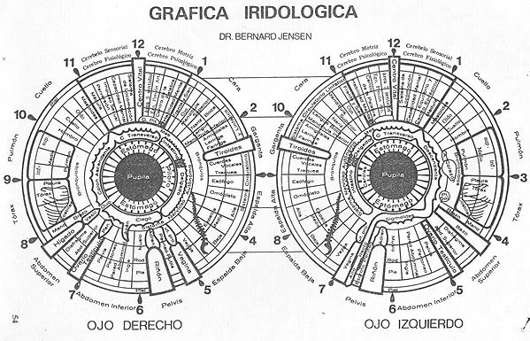 CURSO BASICO Y AVANZADO DE IRIDIOLOGIA LA FILOSOFIA DE LA IRIDOLOGIA. - PDF  Free Download