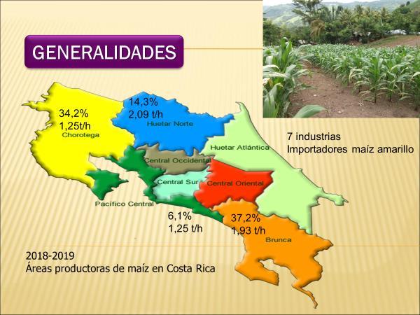 Figura 10. Áreas productoras de maíz blanco en Costa Rica: 2018-2019. Fuente: elaboración propia. De acuerdo con la Figura 11, para el año 2016 se obtuvo en promedio un rendimiento de 2,69 t/ha.