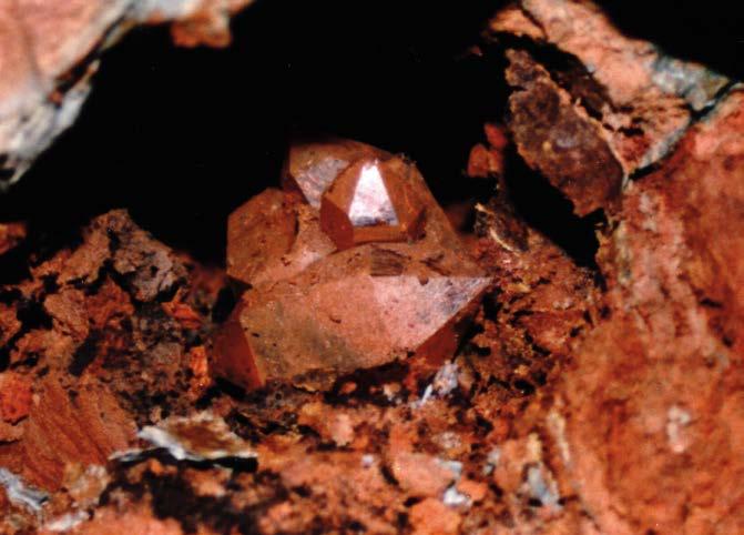 Fig. 10. Cuarzo de La Cabaña, en su localización dentro de la roca calcárea. Medida cristal mayor: 11 cm. Col. y foto: José Ramón García.