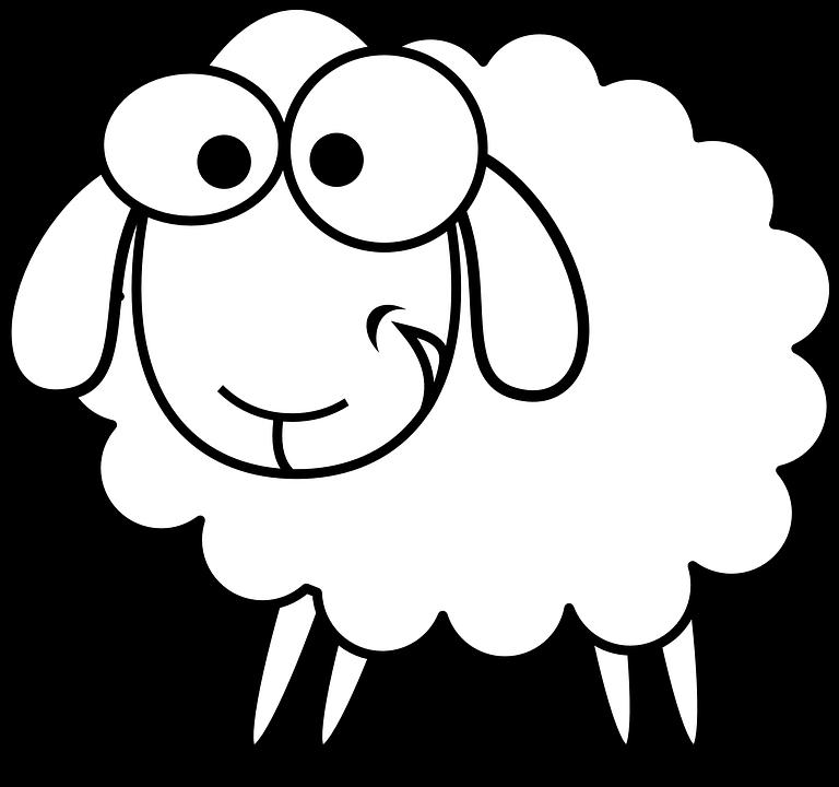 ACTIVIDAD Coloca algodón en el cuerpo de la oveja y