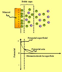 El potencial zeta, puede ser determinado mediante electrophoresis según: (milivolts) D = Constante dieléctrica del líquido.