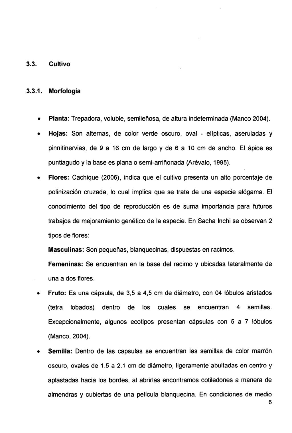 3.3. Cultivo 3.3.1. Morfología Planta: Trepadora, voluble, semileñosa, de altura indeterminada (Manco 2004).