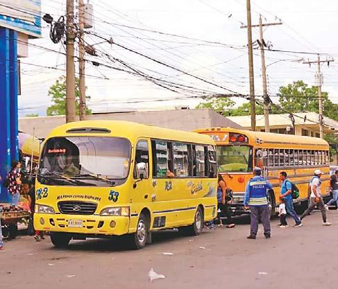 flotas de autobuses del servicio urbano que iniciará en San Pedro