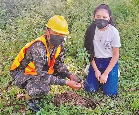 En la continuación de la campaña de reforestación 2022, en el sector de Potrerillos, Cortés, miembros de la 105 Brigada de Infantería realizaron tareas de reforestación en conjunto con personal del