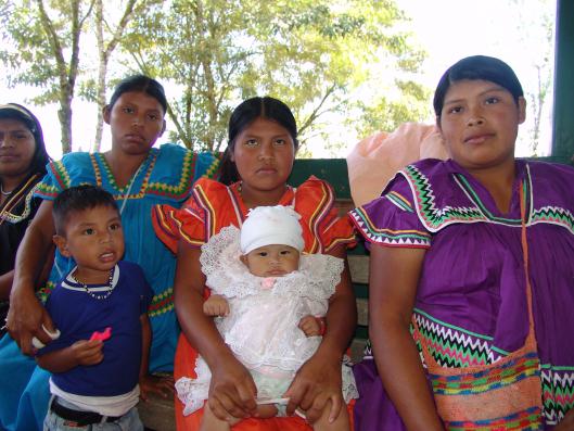 Provincias y comarcas indígenas con madres Aun cuando hay jóvenes embarazadas en todas las provincias, la incidencia varía o debería hacerlo, en función de la educación media no sólo del hogar sino