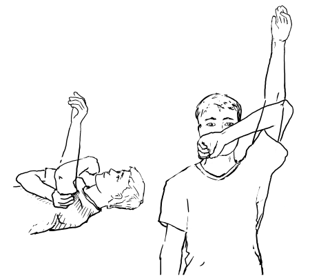 Extensión del codo NIVEL 1 Inicio: Colocar la mano sana debajo del antebrazo afectado.