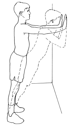 NIVEL 4 Inicio: Pararse frente a una pared. Colocar las manos sobre la pared con los brazos extendidos. Ejercicio: Inclinar el cuerpo hacia la pared, permitiendo la flexión de los codos.