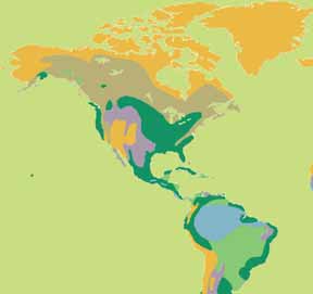 La tierra: una capa viviente La mayor parte de la superficie de tierra del planeta está cubierta de una capa de suelo, desde tan sólo unos pocos centímetros hasta varios metros de espesor.