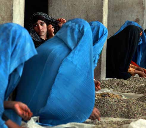Estrategia del PNUD para la Juventud 2014-2017 Una joven descansa de separar pistachos en una fábrica en Herat, Afganistán.