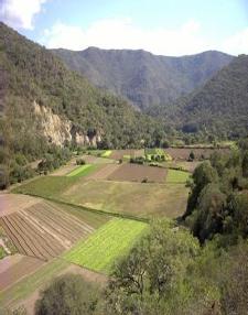Pago por Servicios Ambientales Hidrologicos Bolivia Cuenca alta: Santa Rosa de LIma Proteger el bosque