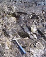 No Convencionales GAS SHALES o GAS DE PIZARRAS Roca madre y roca almacén juntas Gas adsorbido en la materia orgánica Precisa perforación horizontal y fracturación hidráulica