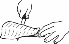 Para quitar las escamas a un pescado: Sostenga el pescado por su cola y ráspelo iniciando desde la cola hacia la cabeza con un quita escamas, cuchillo de mantequilla o