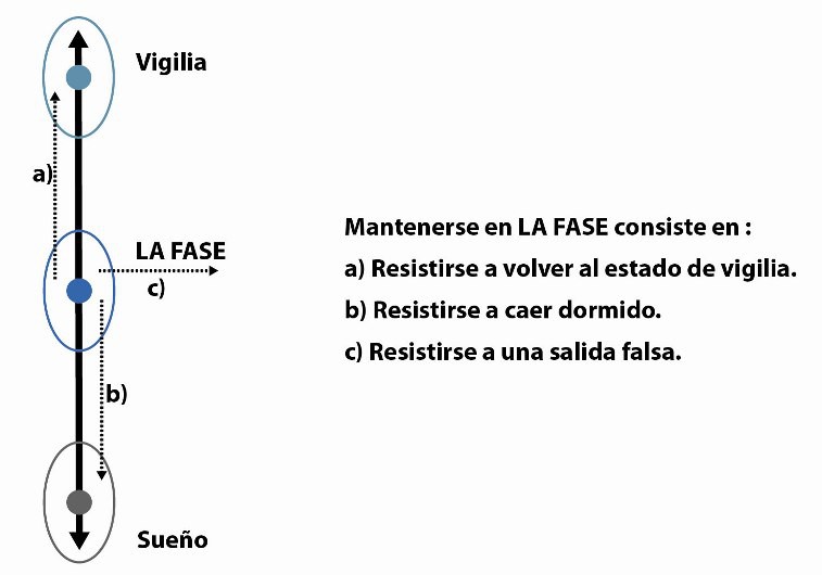 El mantenimiento de LA FASE consiste en tres principios fundamentales: Resistencia a volver al estado de vigilia (lo que llamaremos Falta ), Resistencia a caer dormido, y Resistencia a una salida