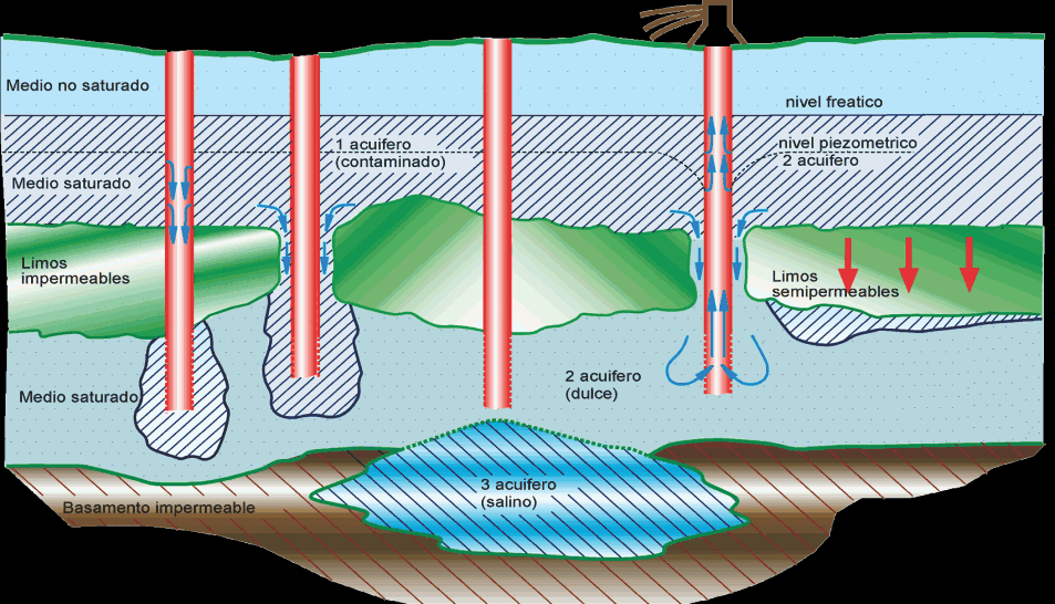La intrusión salina desde el freático hacia los niveles inferiores ocurre por dos vías: por pasaje del agua salina a través del semiconfinamiento o a través de pozos rotos o mal cementados.