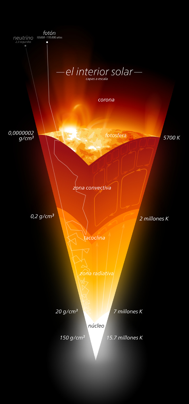 Cómo funciona este horno? Núcleo: Casi más de la mitad de la masa del Sol está concentrada en él.