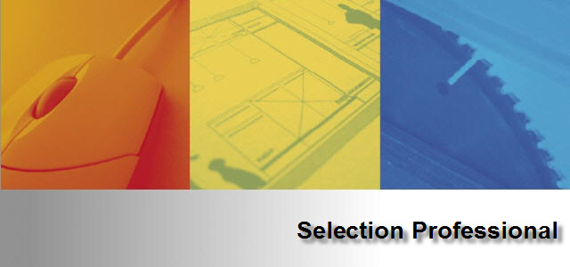 Manual electrónico Selection CAD Versión: 1.0 Nombre: ES_AutoCAD_V1.PDF Temas: 1 Principios de Selection CAD (AutoCAD)...2 2 Superficie AutoCAD...2 2.1 Funciones de menú...2 2.2 Funciones de icono de AutoCAD.