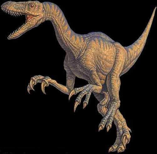 Origen y Evolución de los Dinosaurios (Dinosauria: Saurischia-  Ornithischia) - PDF Free Download