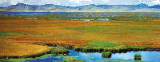 Vista panorámica del lago Junín o Chinchaycocha en época de embalse, se nota la presencia de la extensa distribución de totorales en estado vegetativo y la amplitud de los espejos de agua interiores.
