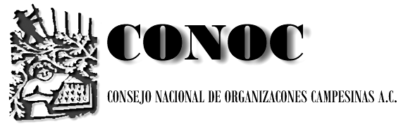A) Posicionamiento: Propuestas generales CONOC B) Propuestas CONOC cualitativas muy importantes C) Propuestas específicas de CONOC D) Propuestas por Organización México, D.F.