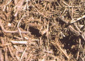 b) Residuos agrícolas leñosos Caracterización: son los procedentes de las podas de olivos, frutales y viñedos Estos residuos tienen un marcado carácter estacional derivado del tipo de cultivo de