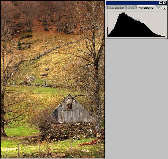 luminosidad del JPEG generado por la cámara vs histograma mostrado por la cámara. 6.5.8.