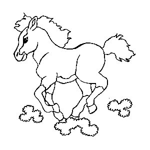 Dibuja 5 flores a la derecha del caballo y 2 flores a la izquierda del caballo.
