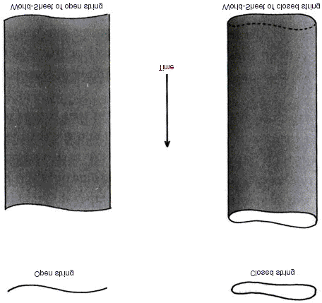 (figura 11.3), mientras que en el caso de cuerdas cerradas la unión es similar a las dos piernas de un par de pantalones juntándose (figura 11.4).