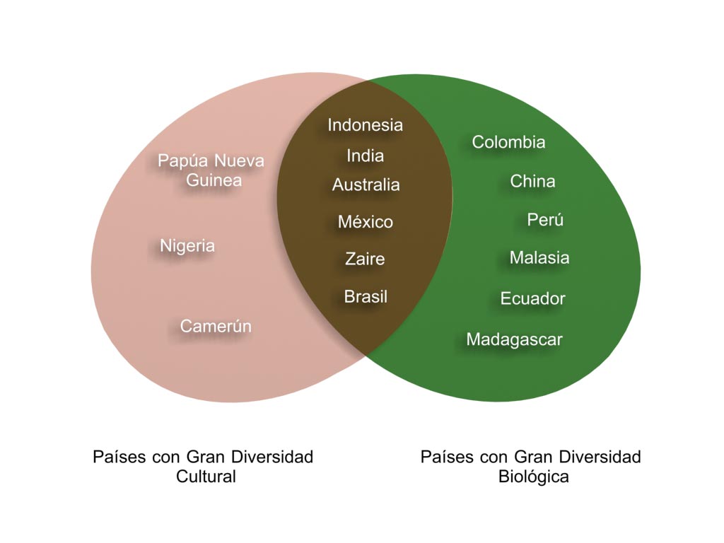 Figura 2. Países con gran diversidad biológica y cultural.